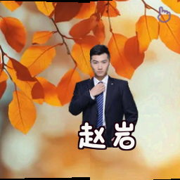赵岩